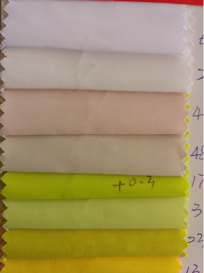 GZ-KIXN  風衣料  228D他仕倫   21203#   後面照